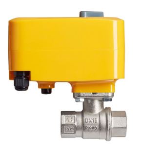 scwnlf7h0s6fs54tcs5l06hbx1eg4ah0